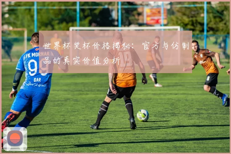 世界杯奖杯价格揭秘：官方与仿制品的真实价值分析