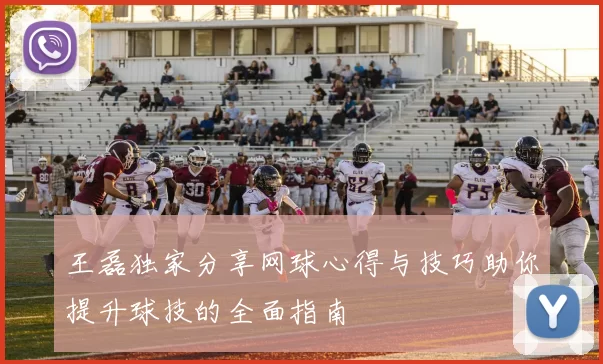 王磊独家分享网球心得与技巧助你提升球技的全面指南