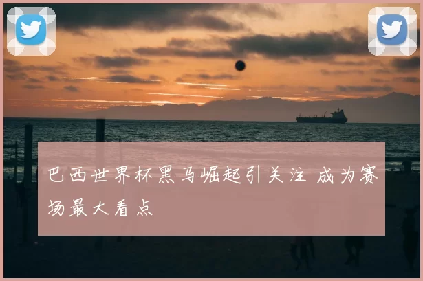巴西世界杯黑马崛起引关注 成为赛场最大看点
