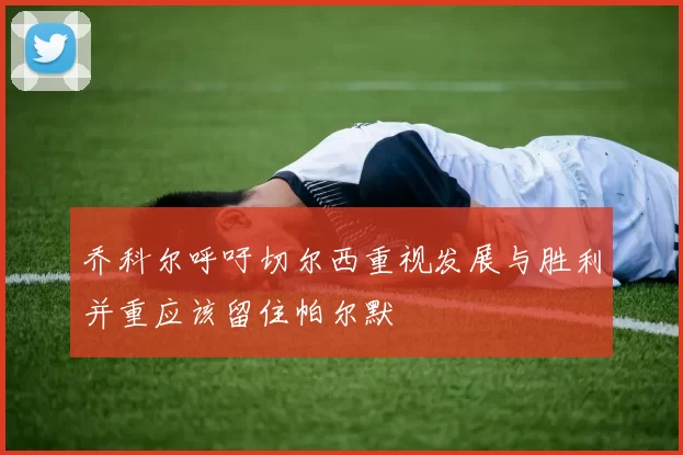 乔科尔呼吁切尔西重视发展与胜利并重应该留住帕尔默