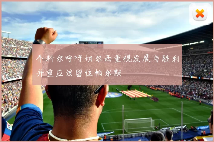 乔科尔呼吁切尔西重视发展与胜利并重应该留住帕尔默