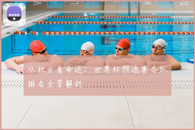 从积分看命运:世界杯预选赛各队排名全景解析