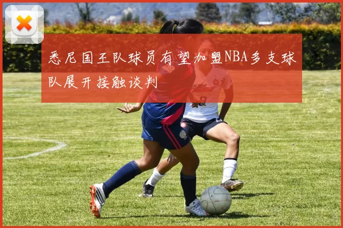 悉尼国王队球员有望加盟NBA多支球队展开接触谈判