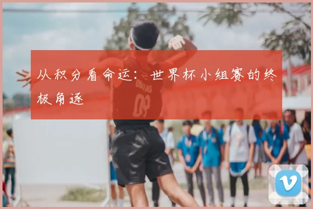 从积分看命运：世界杯小组赛的终极角逐