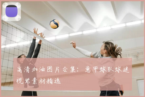 高清加油图片合集：意甲球队球迷视觉素材精选