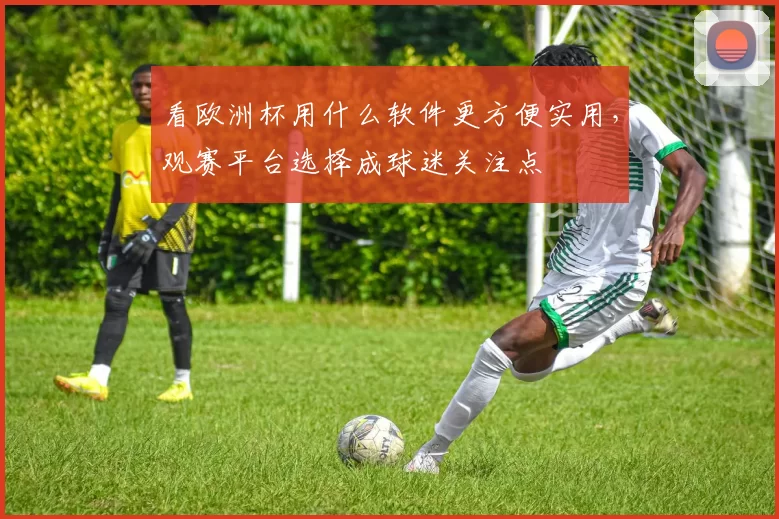 看欧洲杯用什么软件更方便实用，观赛平台选择成球迷关注点