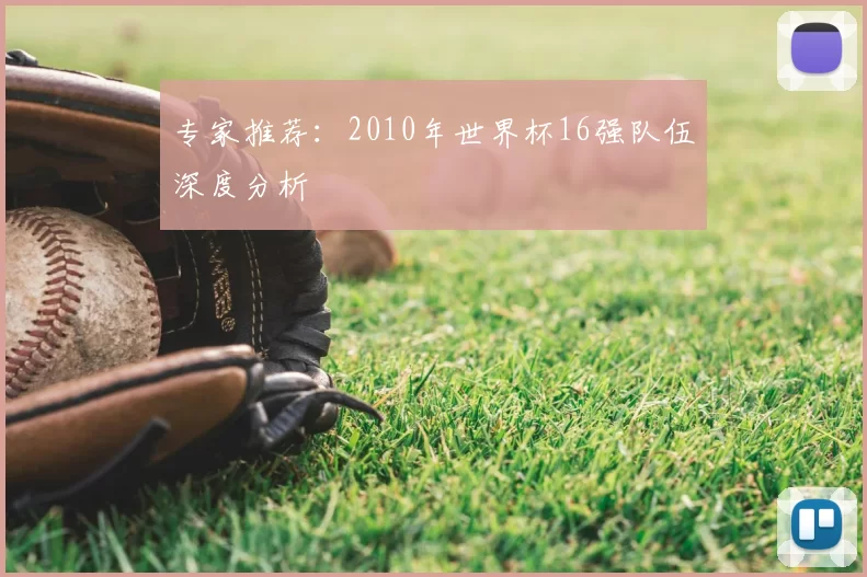 专家推荐:2010年世界杯16强队伍深度分析