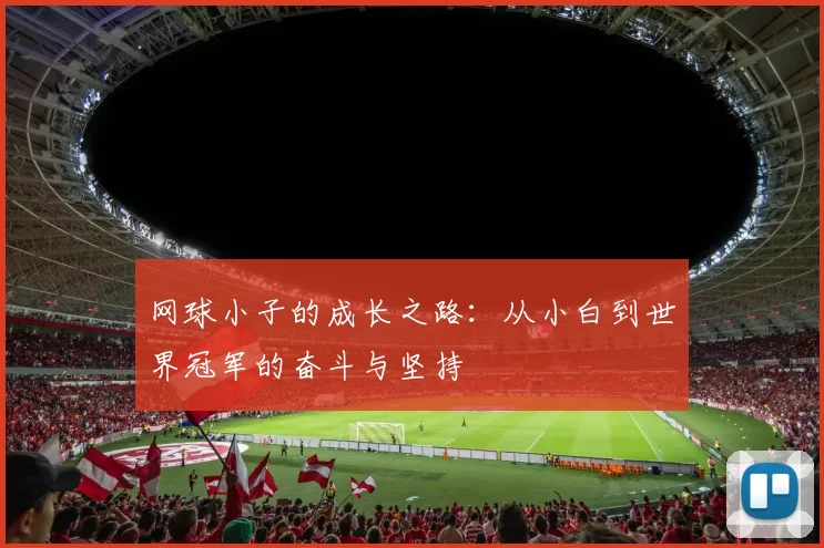 网球小子的成长之路:从小白到世界冠军的奋斗与坚持