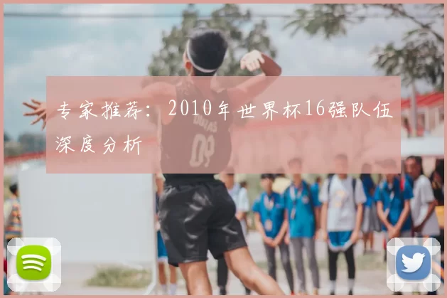 专家推荐:2010年世界杯16强队伍深度分析