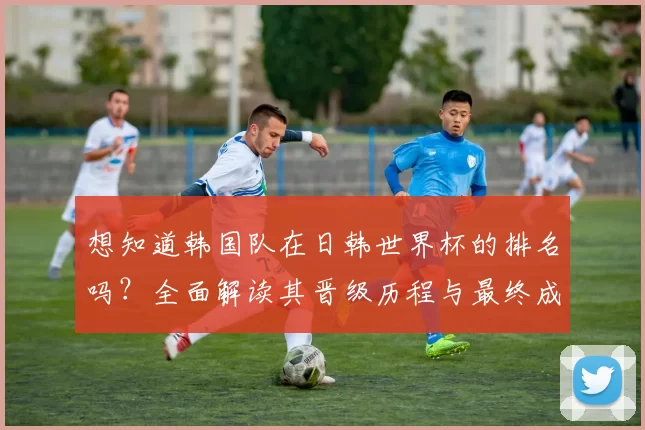 想知道韩国队在日韩世界杯的排名吗?全面解读其晋级历程与最终成绩